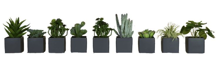 Phoenix Mini Succulente Cube Pots Set de 9 plantes artificielles Gris Tanaman  
